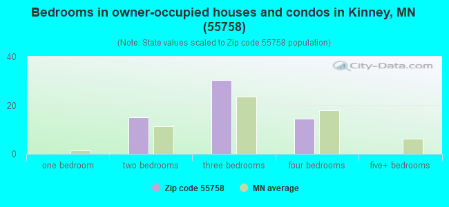 Bedrooms in owner-occupied houses and condos in Kinney, MN (55758) 