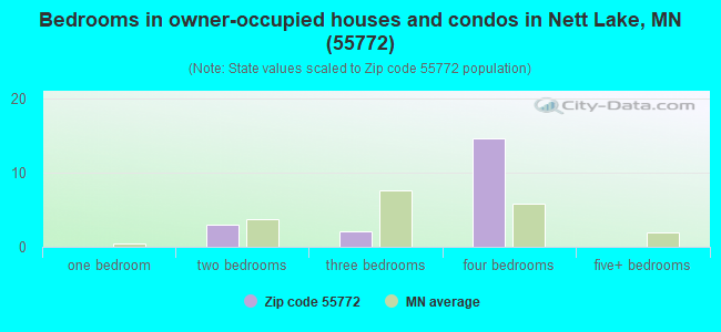 Bedrooms in owner-occupied houses and condos in Nett Lake, MN (55772) 