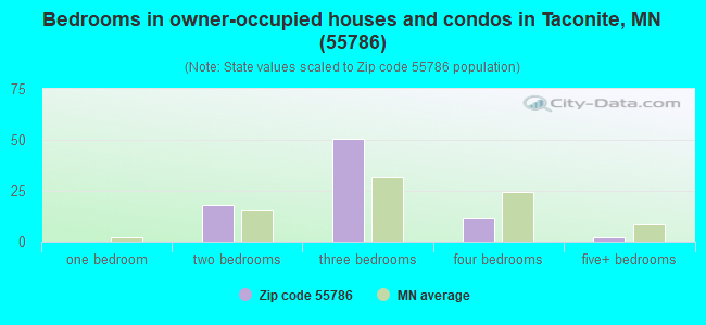 Bedrooms in owner-occupied houses and condos in Taconite, MN (55786) 
