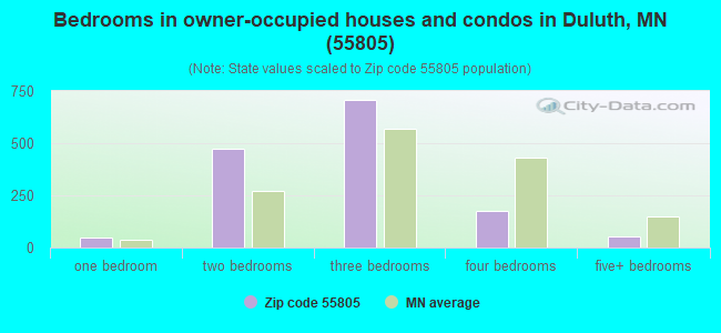 Bedrooms in owner-occupied houses and condos in Duluth, MN (55805) 