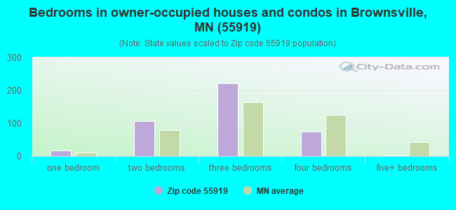 Bedrooms in owner-occupied houses and condos in Brownsville, MN (55919) 