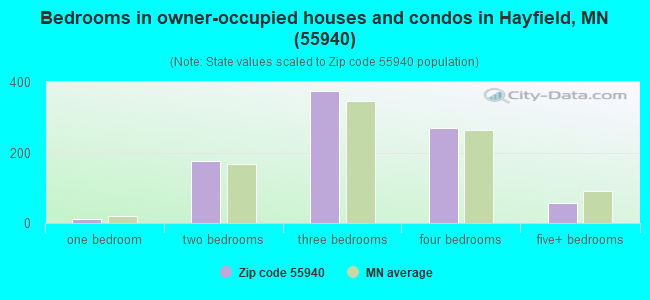 Bedrooms in owner-occupied houses and condos in Hayfield, MN (55940) 