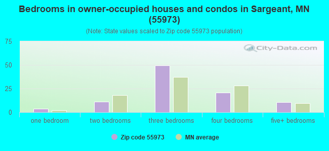 Bedrooms in owner-occupied houses and condos in Sargeant, MN (55973) 