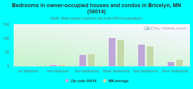 Bedrooms in owner-occupied houses and condos in Bricelyn, MN (56014) 