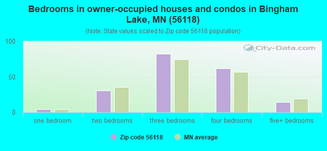 Bedrooms in owner-occupied houses and condos in Bingham Lake, MN (56118) 