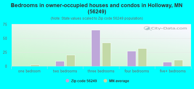 Bedrooms in owner-occupied houses and condos in Holloway, MN (56249) 