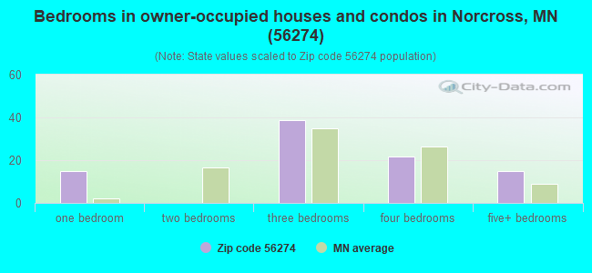 Bedrooms in owner-occupied houses and condos in Norcross, MN (56274) 