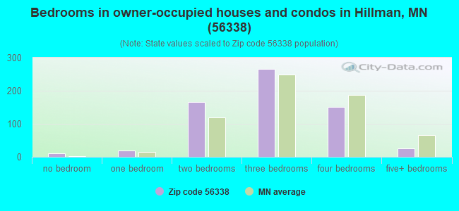 Bedrooms in owner-occupied houses and condos in Hillman, MN (56338) 