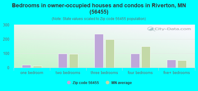 Bedrooms in owner-occupied houses and condos in Riverton, MN (56455) 