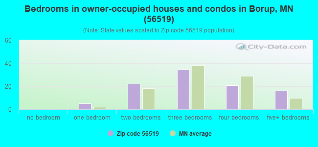 Bedrooms in owner-occupied houses and condos in Borup, MN (56519) 