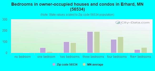 Bedrooms in owner-occupied houses and condos in Erhard, MN (56534) 