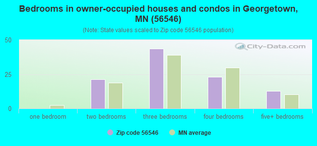 Bedrooms in owner-occupied houses and condos in Georgetown, MN (56546) 