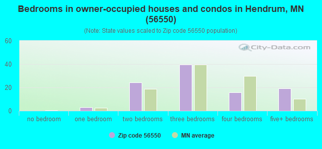 Bedrooms in owner-occupied houses and condos in Hendrum, MN (56550) 