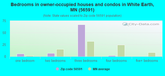 Bedrooms in owner-occupied houses and condos in White Earth, MN (56591) 