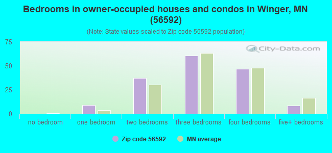 Bedrooms in owner-occupied houses and condos in Winger, MN (56592) 