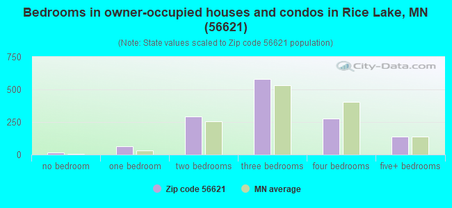 Bedrooms in owner-occupied houses and condos in Rice Lake, MN (56621) 