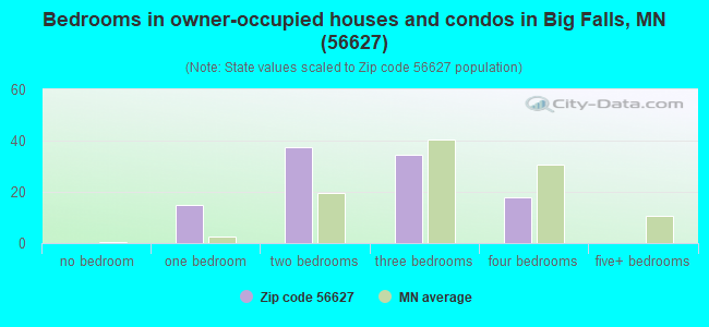 Bedrooms in owner-occupied houses and condos in Big Falls, MN (56627) 