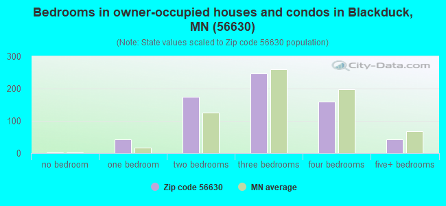 Bedrooms in owner-occupied houses and condos in Blackduck, MN (56630) 