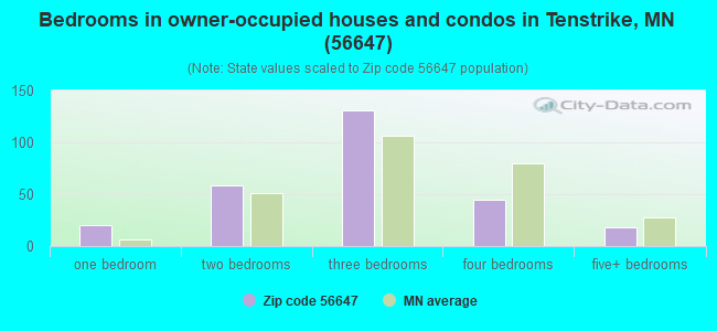 Bedrooms in owner-occupied houses and condos in Tenstrike, MN (56647) 