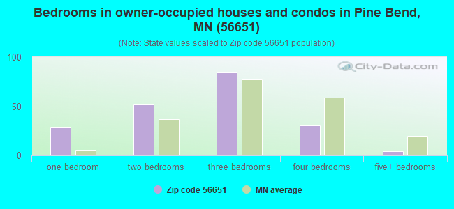 Bedrooms in owner-occupied houses and condos in Pine Bend, MN (56651) 