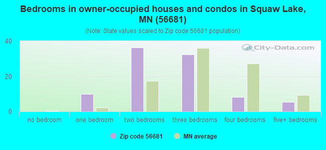 Bedrooms in owner-occupied houses and condos in Squaw Lake, MN (56681) 