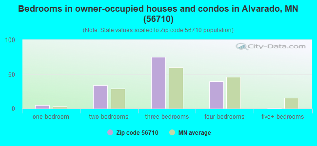 Bedrooms in owner-occupied houses and condos in Alvarado, MN (56710) 