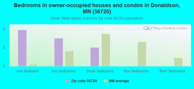 Bedrooms in owner-occupied houses and condos in Donaldson, MN (56720) 