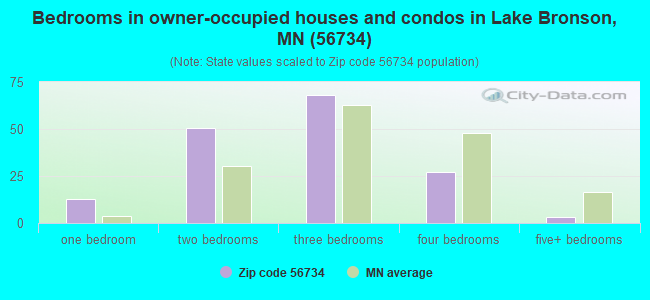 Bedrooms in owner-occupied houses and condos in Lake Bronson, MN (56734) 