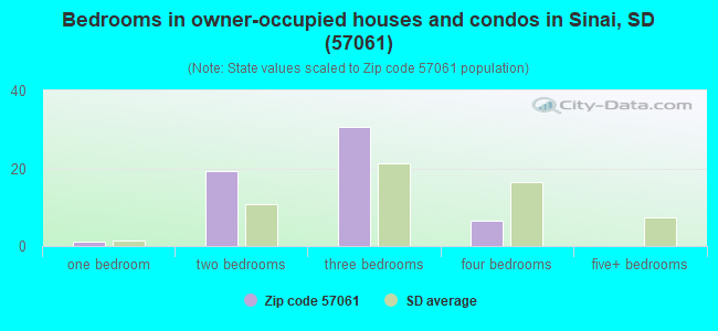 Bedrooms in owner-occupied houses and condos in Sinai, SD (57061) 