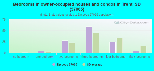 Bedrooms in owner-occupied houses and condos in Trent, SD (57065) 