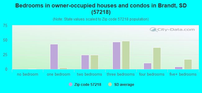 Bedrooms in owner-occupied houses and condos in Brandt, SD (57218) 