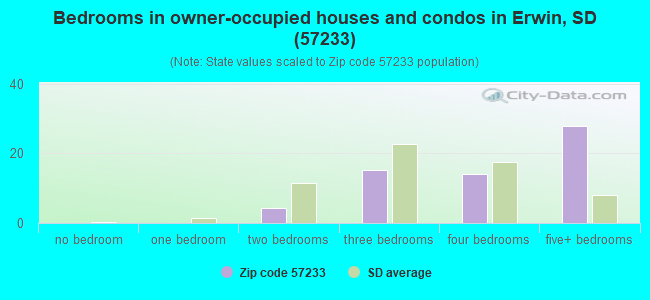 Bedrooms in owner-occupied houses and condos in Erwin, SD (57233) 