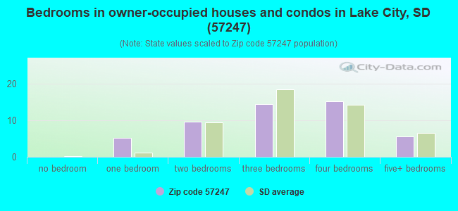 Bedrooms in owner-occupied houses and condos in Lake City, SD (57247) 