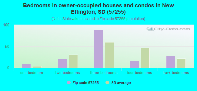 Bedrooms in owner-occupied houses and condos in New Effington, SD (57255) 