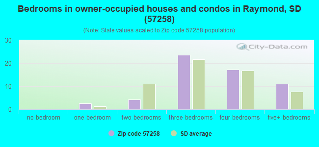 Bedrooms in owner-occupied houses and condos in Raymond, SD (57258) 