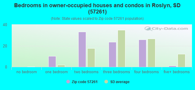 Bedrooms in owner-occupied houses and condos in Roslyn, SD (57261) 