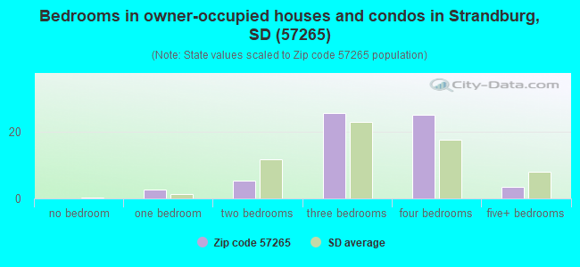 Bedrooms in owner-occupied houses and condos in Strandburg, SD (57265) 