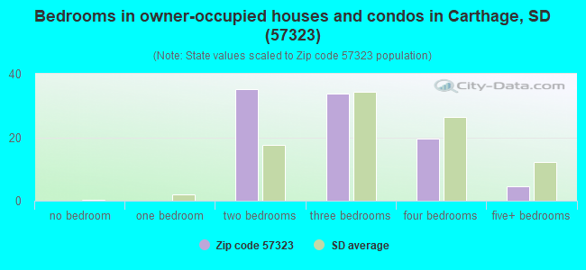 Bedrooms in owner-occupied houses and condos in Carthage, SD (57323) 