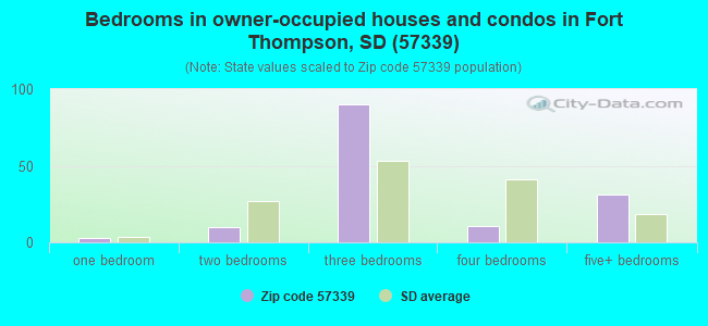 Bedrooms in owner-occupied houses and condos in Fort Thompson, SD (57339) 