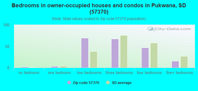 Bedrooms in owner-occupied houses and condos in Pukwana, SD (57370) 