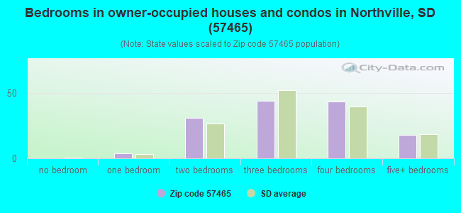 Bedrooms in owner-occupied houses and condos in Northville, SD (57465) 