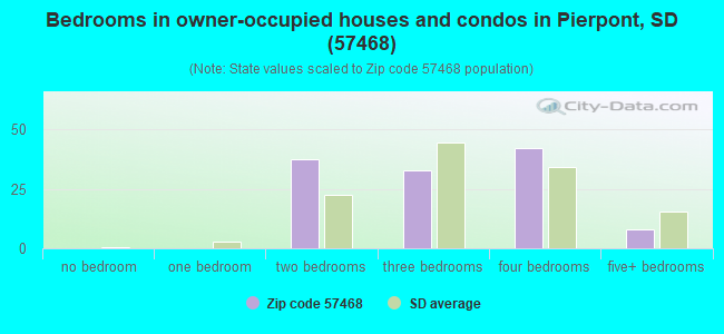 Bedrooms in owner-occupied houses and condos in Pierpont, SD (57468) 