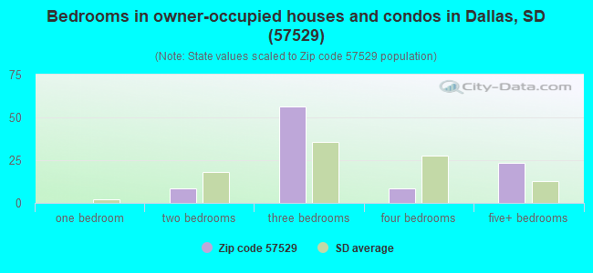 Bedrooms in owner-occupied houses and condos in Dallas, SD (57529) 
