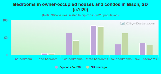 Bedrooms in owner-occupied houses and condos in Bison, SD (57620) 