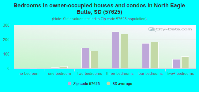 Bedrooms in owner-occupied houses and condos in North Eagle Butte, SD (57625) 