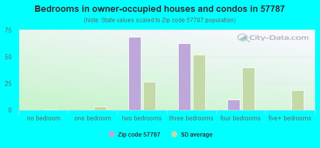 Bedrooms in owner-occupied houses and condos in 57787 