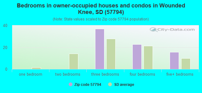 Bedrooms in owner-occupied houses and condos in Wounded Knee, SD (57794) 