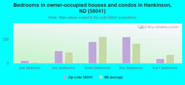 Bedrooms in owner-occupied houses and condos in Hankinson, ND (58041) 