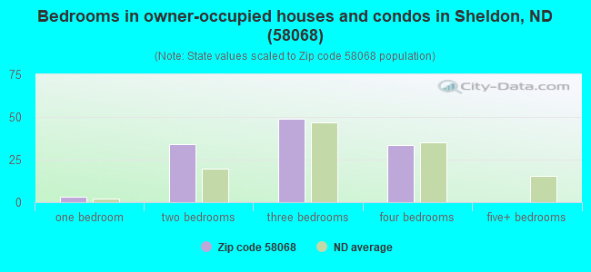 Bedrooms in owner-occupied houses and condos in Sheldon, ND (58068) 