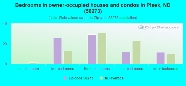 Bedrooms in owner-occupied houses and condos in Pisek, ND (58273) 